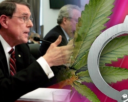 BP Oil Spill Bosses or Marijuana Drug Dealers, Who Deserves More Jail Time?