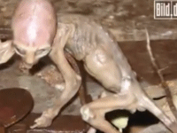 New UFO Sightings Video and Dead Alien Found in Russia and Mexico