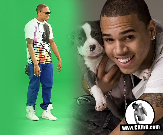 new chris brown music video 2011 she aint you