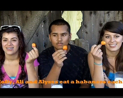 Cinnamon Challenge Dying, Habanero Challenge Beginning