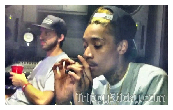 Wiz Khalifa Smoking Trippy Stick Vaporizer