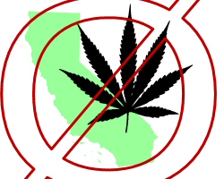 Marijuana Dispensaries Banned, Los Angeles Trippy Stick Trend Coming