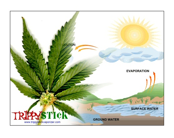 Trippy Stick Vaporizes, Not Burns Medical Marijuana