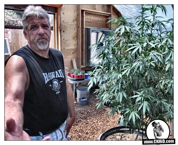 Oregon Medical Marijuana Dispesnary Owner, Bill Esbensen, with Cannabis Plant in Ontario