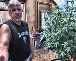 Oregon Marijuana Dispensaries Leave Idaho People Trippy