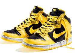 Nike Dunk Shoes